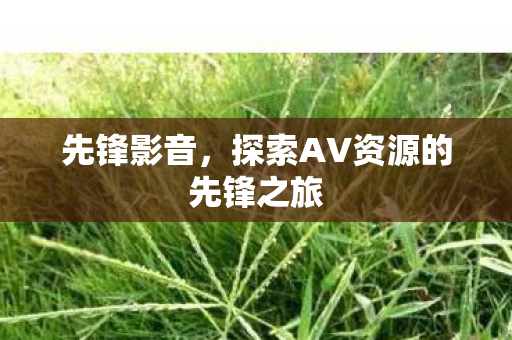 探索AV资源的先锋之旅图片