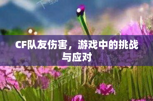 游戏中的挑战与应对图片