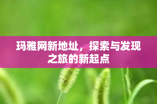 探索与发现之旅的新起点图片