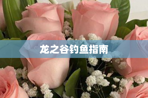 龙之谷钓鱼指南图片