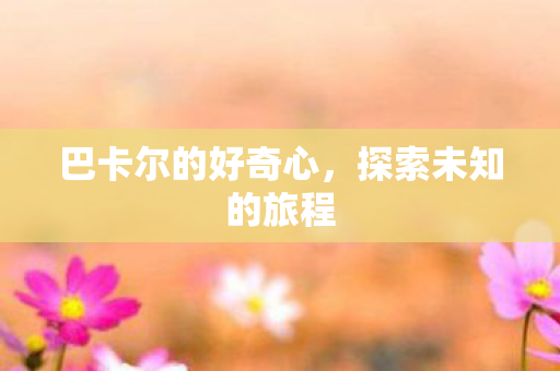 巴卡尔的好奇心图片