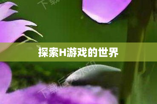 探索H游戏的世界图片