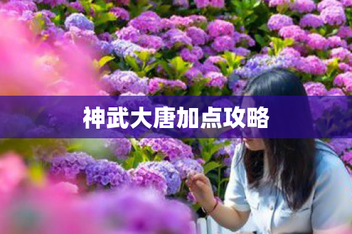 神武大唐加点攻略图片