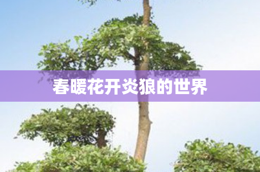 春暖花开炎狼的世界图片