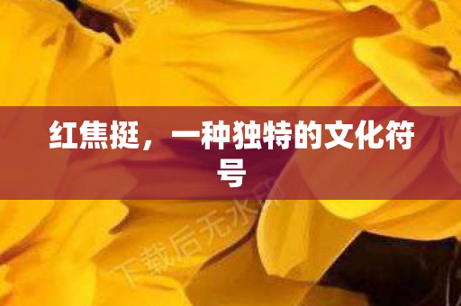 一种独特的文化符号图片