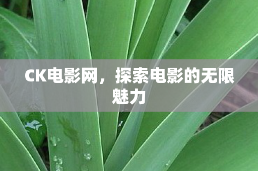探索电影的无限魅力图片