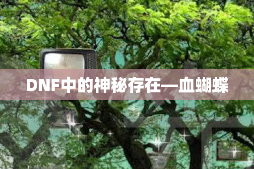 DNF中的神秘存在图片