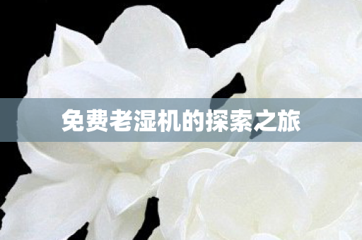 免费老湿机的探索之旅图片