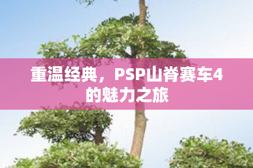 PSP山脊赛车4的魅力之旅图片