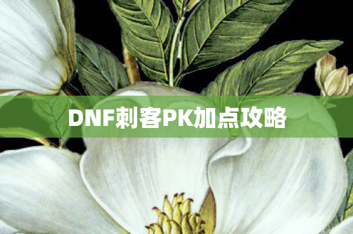 DNF刺客PK加点攻略图片