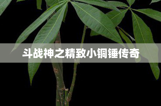 斗战神之精致小铜锤传奇图片
