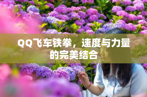速度与力量的完美结合图片