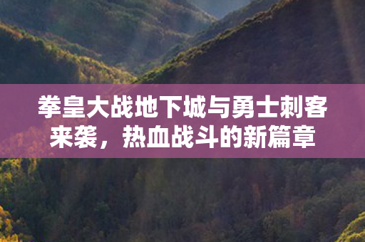 拳皇大战地下城与勇士刺客来袭图片