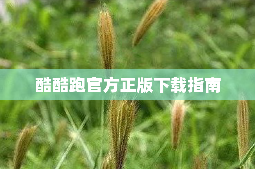 酷酷跑官方正版下载指南图片