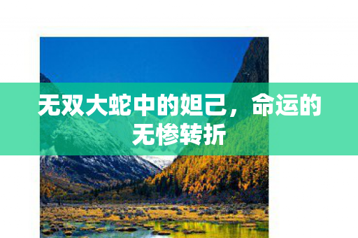 无双大蛇中的妲己图片