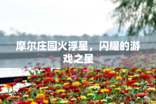 摩尔庄园火浮星图片