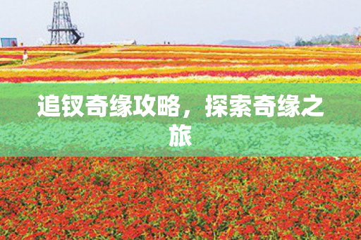 追钗奇缘攻略图片