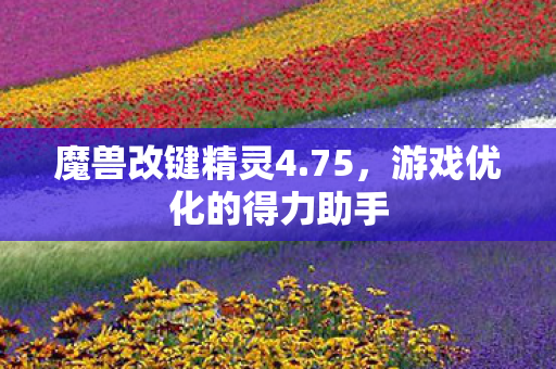 游戏优化的得力助手图片