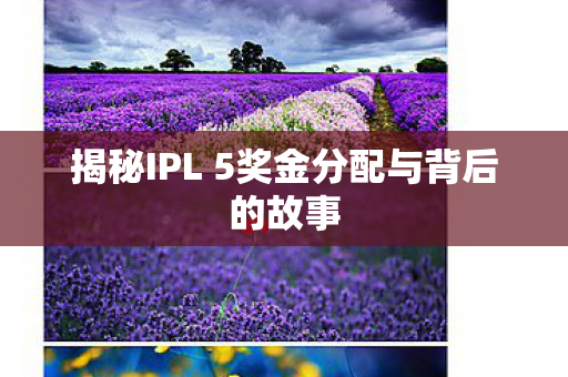 揭秘IPL 5奖金分配与背后的故事图片
