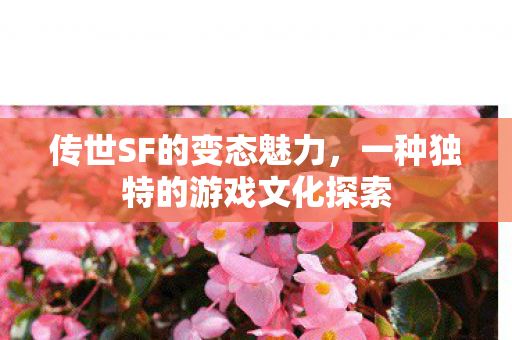 一种独特的游戏文化探索图片
