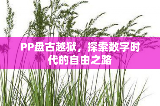 探索数字时代的自由之路图片