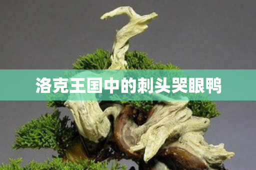 洛克王国中的刺头哭眼鸭图片