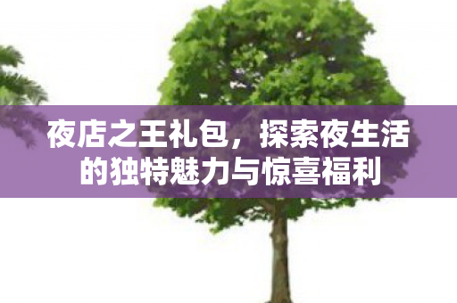 探索夜生活的独特魅力与惊喜福利图片