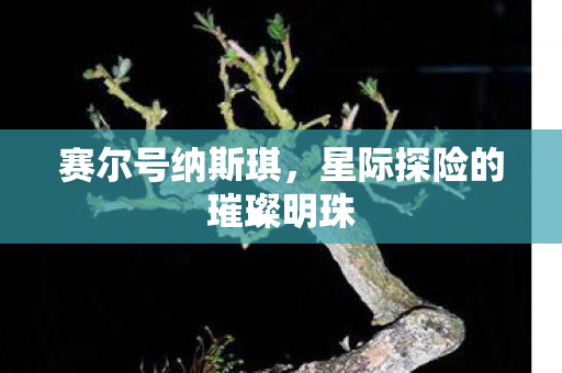 星际探险的璀璨明珠图片