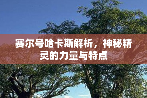 神秘精灵的力量与特点图片