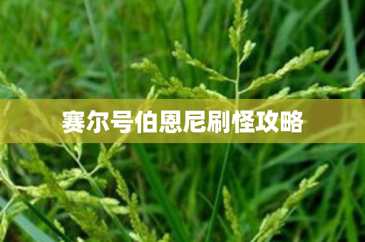 赛尔号伯恩尼刷怪攻略图片