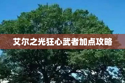 艾尔之光狂心武者加点攻略图片