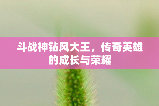传奇英雄的成长与荣耀图片
