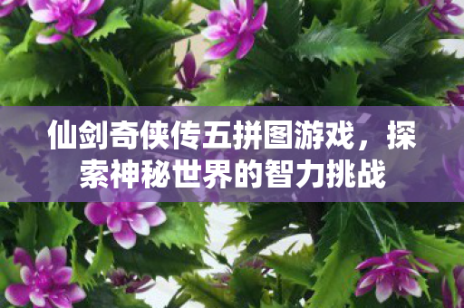 探索神秘世界的智力挑战图片