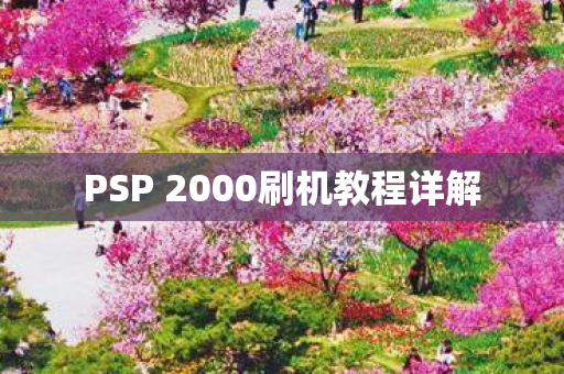 PSP 2000刷机教程详解图片