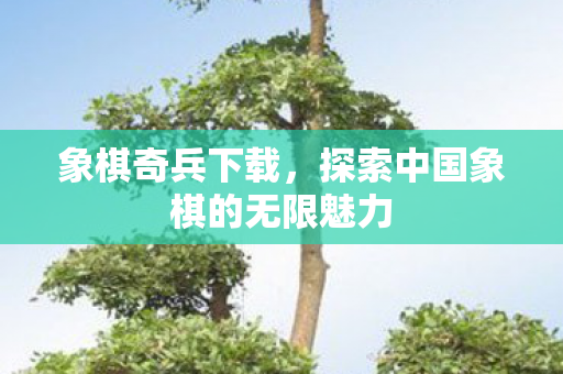 探索中国象棋的无限魅力图片