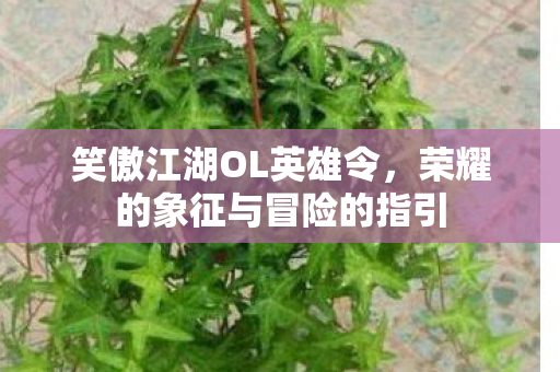 荣耀的象征与冒险的指引图片