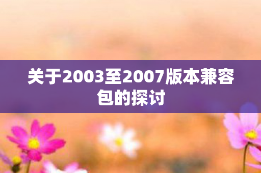 关于2003至2007版本兼容包的探讨图片