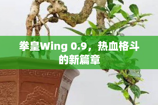 拳皇Wing 0图片