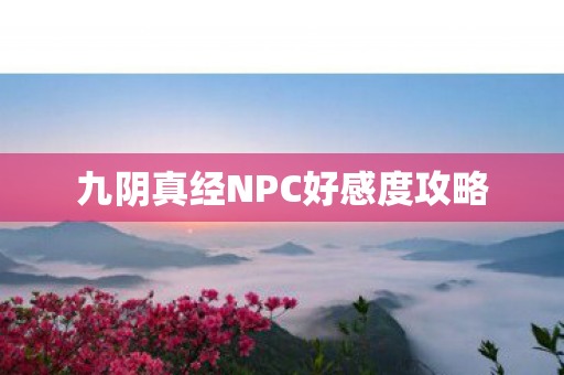 九阴真经NPC好感度攻略图片