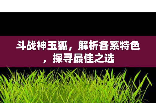 解析各系特色图片