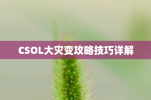 CSOL大灾变攻略技巧详解图片