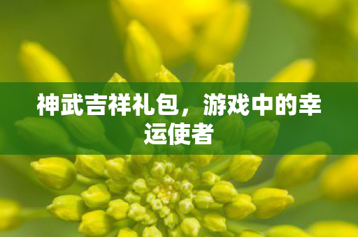 游戏中的幸运使者图片