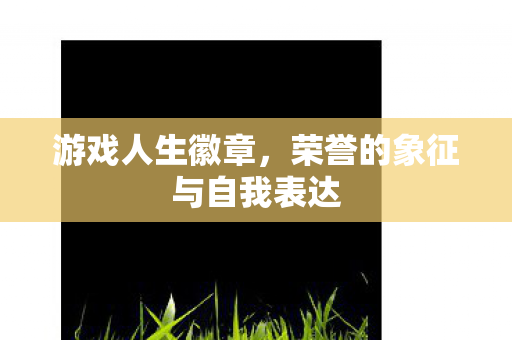 荣誉的象征与自我表达图片