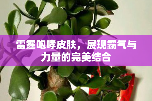 展现霸气与力量的完美结合图片