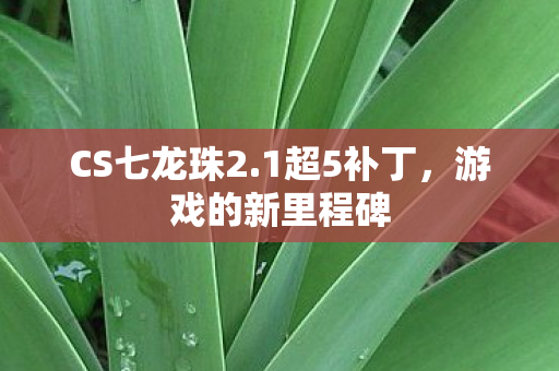 游戏的新里程碑图片