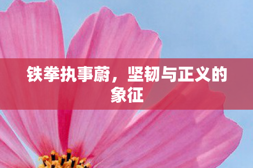 坚韧与正义的象征图片