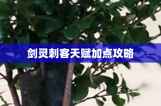 剑灵刺客天赋加点攻略图片