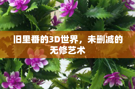 旧里番的3D世界图片