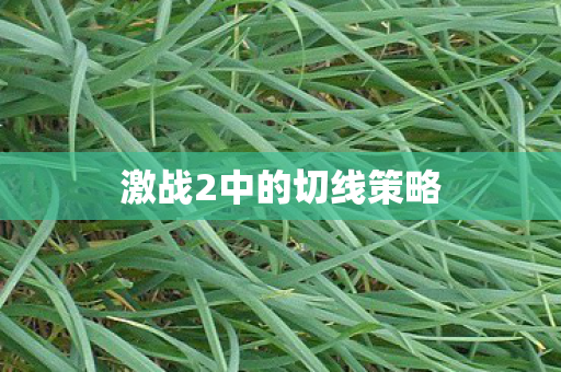 激战2中的切线策略图片