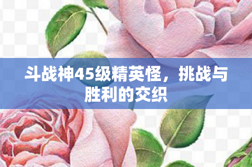 斗战神45级精英怪图片